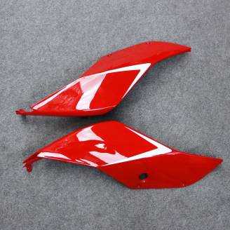 Complete and painted fairings in abs DUC99 SPL2