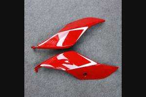 Fairings ABS Lackiert street DUC99 DUC99 SPL2