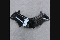 Complete and painted fairings in abs KWS 300 GRT 2