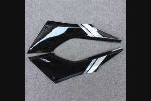 Carenage complet que les photos KWS 300 GRT