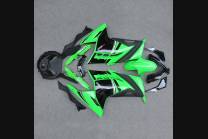 Carenage complet que les photos KWS 300 GRT