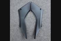 Carenage complet que les photos KWS 300 GRT 2