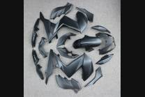 Complete and painted fairings in abs KWS 300 GRT 