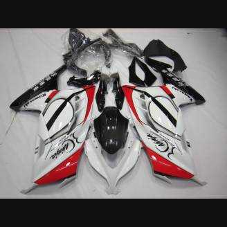 Carenage complet que les photos KWS 300 GRT