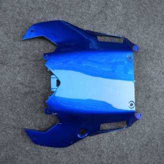 ABSVerkleidungen lackierten BLR6