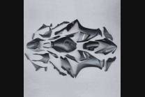 Complete and painted fairings in abs HND CBR 1 C BLFM 