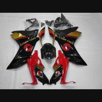 Complete and painted fairings in abs HND CBR 6CF RDR 