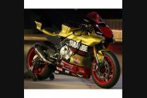 Carene verniciate per Yamaha R1 2015 - 2018 YAMR17 ED18
