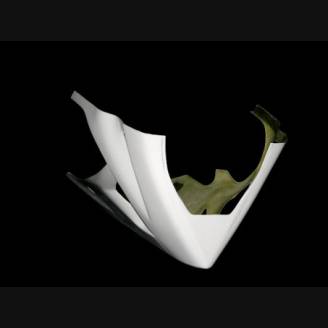 Complete fairings without back seat and without front fender 