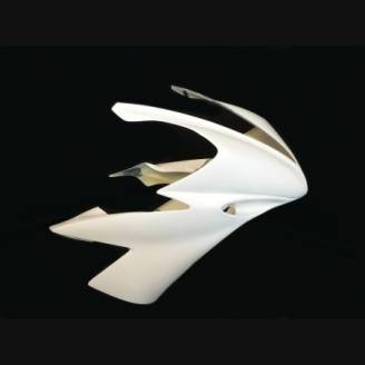 Front fairings without back seat 