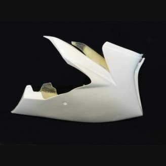 Front fairings without back seat 