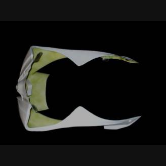 Front fairings without back seat and fender 