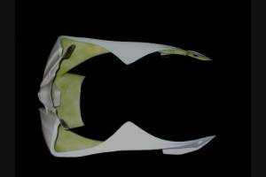 Front fairings without back seat and fender 