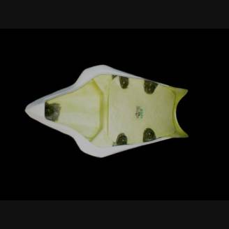 Back seat with under tray of back seat 