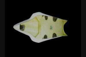 Back seat with under tray of back seat 