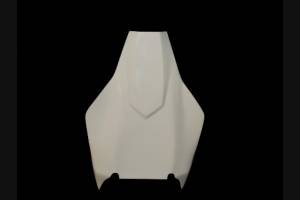 Back seat with under tray of back seat 