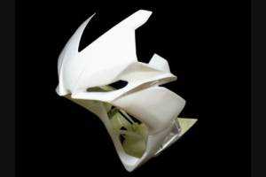 carenado sin guardabarros y sin colin 