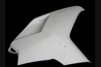 carenados sin colin 2