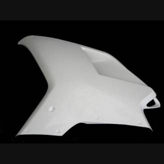 Carene anteriori senza codone