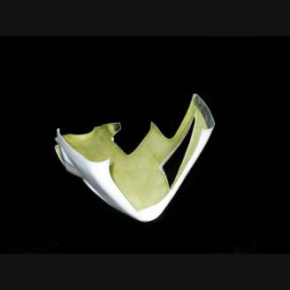 Carene senza parafango per Honda cbr 600 RR 07/08