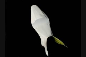 carenado sin guardabarros para honda cbr RR 07/08 