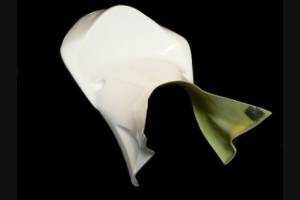 Verkleidungen ohne Kotflugel