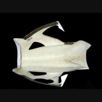 Complete fairings without fender 