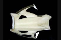 Front fairings without back seat 2