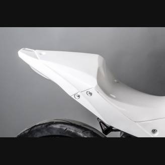 Carénages complets sans Pare-boue Racing Vers.2