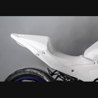 Carénages complets sans Pare-boue Racing Vers.2