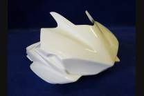 Complete and racing Fairings without Front Fender 2