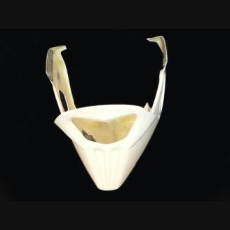 Carene senza parafango