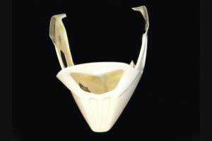 Carene senza parafango