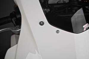 Complete fairing without front fender VS2