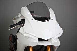 Complete fairing without front fender VS2