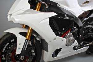 Complete fairing without front fender VS2