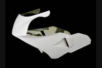 Complete and racing Fairings without Front Fender 