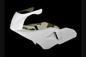 Complete and racing Fairings without Front Fender 