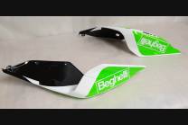 Complete and painted fairings in abs Ducati 1299 Panigale DUAB 1299 SBLGFL 2