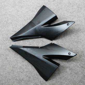 Carénages en abs complets et peints BLW 