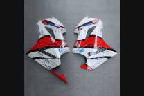 Complete and painted fairings in abs RED 2