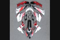 Complete and painted fairings for X Max 400 2013 - 2016 MTS