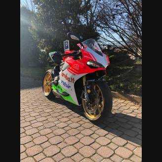 carenado ABS barnizado carrettera Ducati 1299 Panigale DUAB 1299 FELGFL