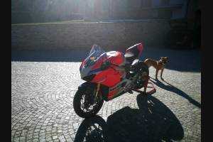 carenado ABS barnizado carrettera Ducati Panigale V4 para escape Akrapovic DUCV4 CSSP