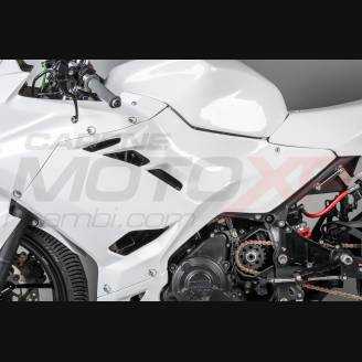 Carénages complets sans Pare-boue Racing Vs2 