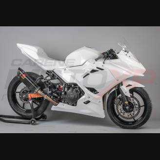 Carénages complets sans Pare-boue Racing Vs2 