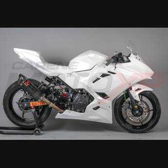 Verkleidungen ohne Kotflugel Racing Vs2 