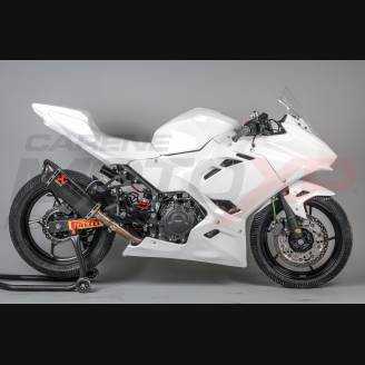 Verkleidungen ohne Kotflugel Racing Vs2 