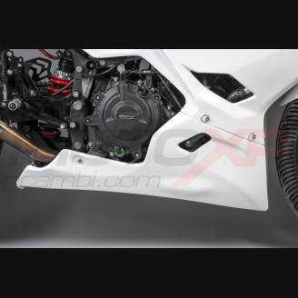 carenado completo sin guardabarros Racing Vs2 