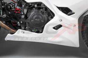 Verkleidungen ohne Kotflugel Racing Vs2 